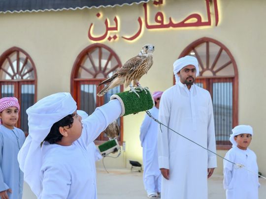 Falconry in Abu Dhabi