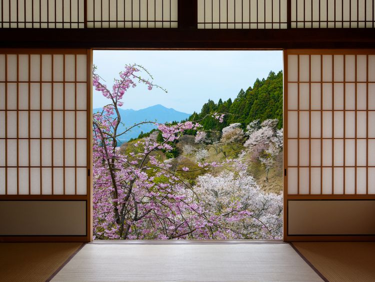 En busca del equilibrio  Zen home decor, Zen interiors, Zen style