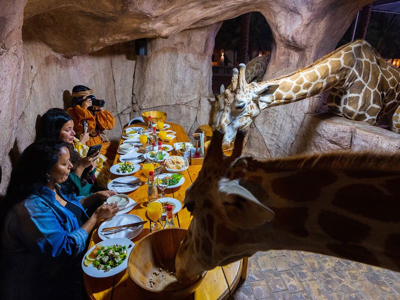 Emirates_Park_Zoo_-_Iftar_with_the_Giraffes_2-1649484511094