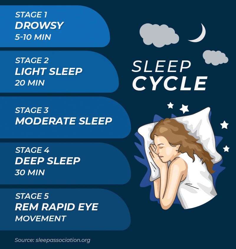Different sleep cycles