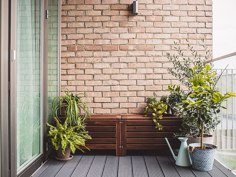 balcony, plants