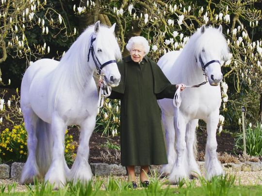 Ahead of The Queen’s 96th Birthday tomorrow, @royalwindsorhorseshow have released a new photograph of Her Majesty with two of her fell ponies, Bybeck Katie and Bybeck Nightingale.
