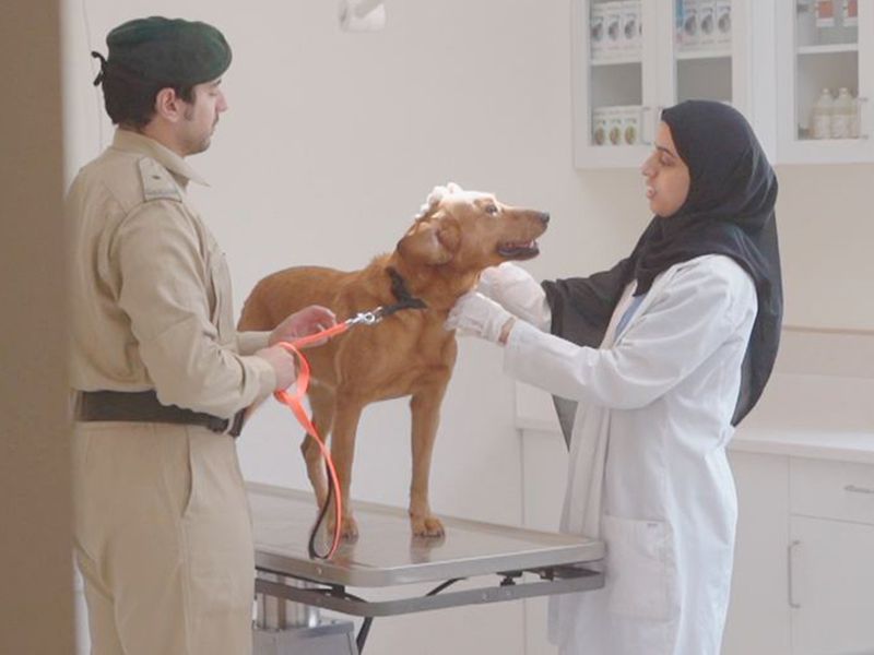 Dubai_Police_K9_Unit_carries_out_2,830_Missions_in_2021_(6)-1651656571142