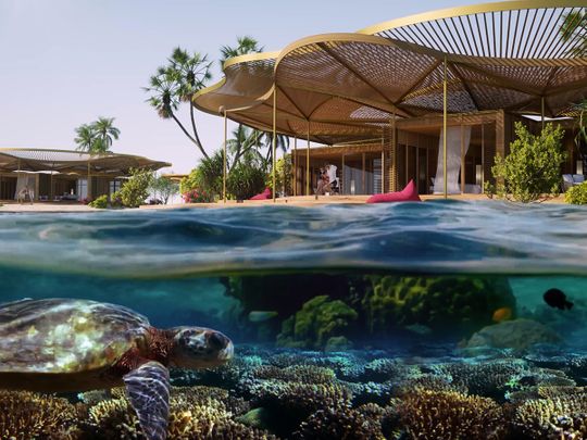 Stock - Coral bloom blends hotels - Red Sea development