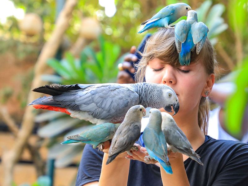 SUDAN-NATURE-RESERVE-BIRDS