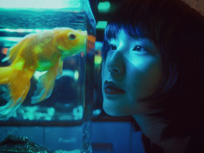 Woman looking at fish in aquarium lucid dream
