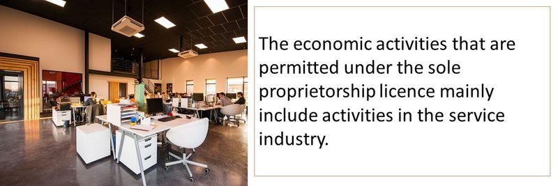 The economic activities that are permitted under the sole proprietorship licence mainly include activities in the service industry.