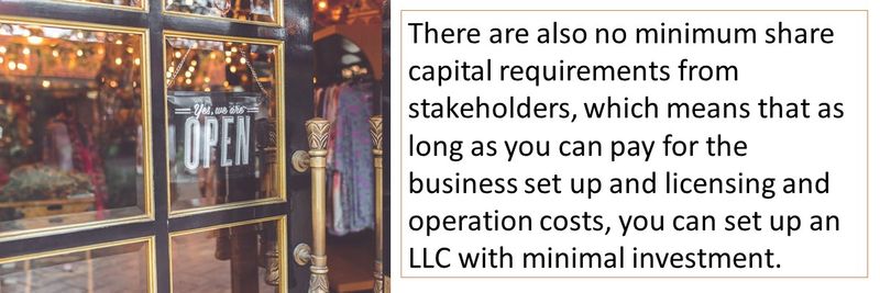 There are also no minimum share capital requirements from stakeholders, which means that as long as you can pay for the business set up and licensing and operation costs, you can set up an LLC with minimal investment. 