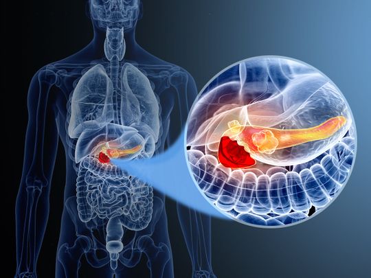 Pancreas Main Image