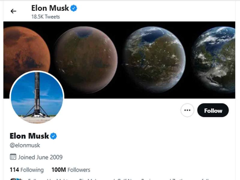Elon Musk twitter page