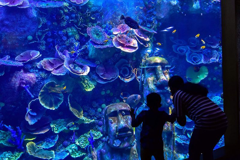 National Aquarium in Abu Dhabi