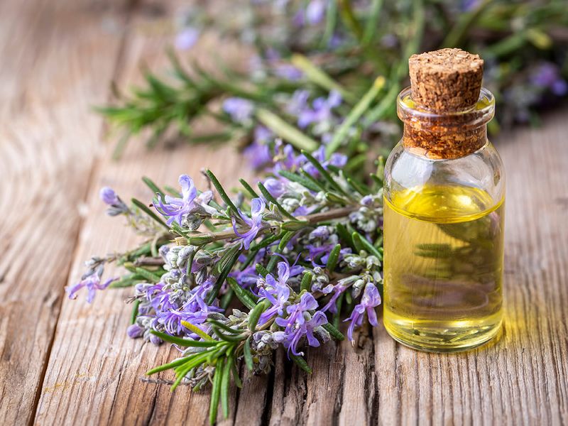 Rosemary oil and water hack for hair growth: Does it work? | Friday-beauty  – Gulf News