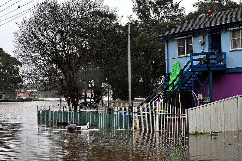 A general view shows a flooded residential area from the overflowing Hawkesbury river due to torrential rain in the Windsor suburb of Sydney on July 4, 2022. 