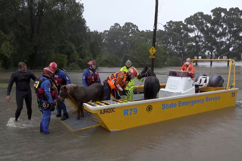 An emergency crew rescues two ponies from a flooded area in Milperra, Sydney metropolitan area, Australia July 3, 2022 in this screen grab obtained from a handout video. 