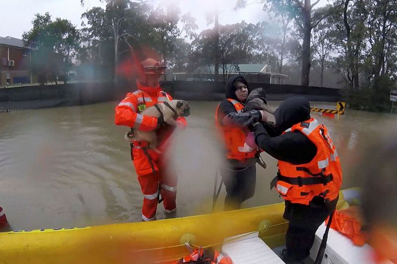 Emergency crew members rescue dogs from a flooded area in the Sydney suburb of Lansvale, Australia July 3, 2022 in this screen grab obtained from a handout video.