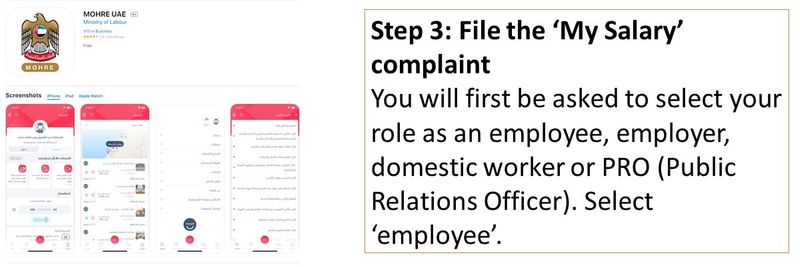 Step 3: File the ‘My Salary’ complaint You will first be asked to select your role as an employee, employer, domestic worker or PRO (Public Relations Officer). Select ‘employee’.