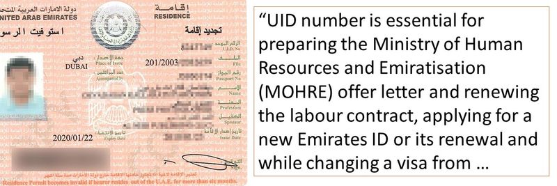 “UID number is essential for preparing the Ministry of Human Resources and Emiratisation (MOHRE) offer letter and renewing the labour contract, applying for a new Emirates ID or its renewal and while changing a visa from …