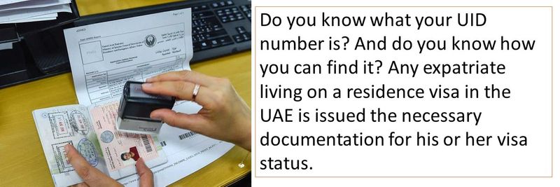 Do you know what your UID number is? And do you know how you can find it? Any expatriate living on a residence visa in the UAE is issued the necessary documentation for his or her visa status.