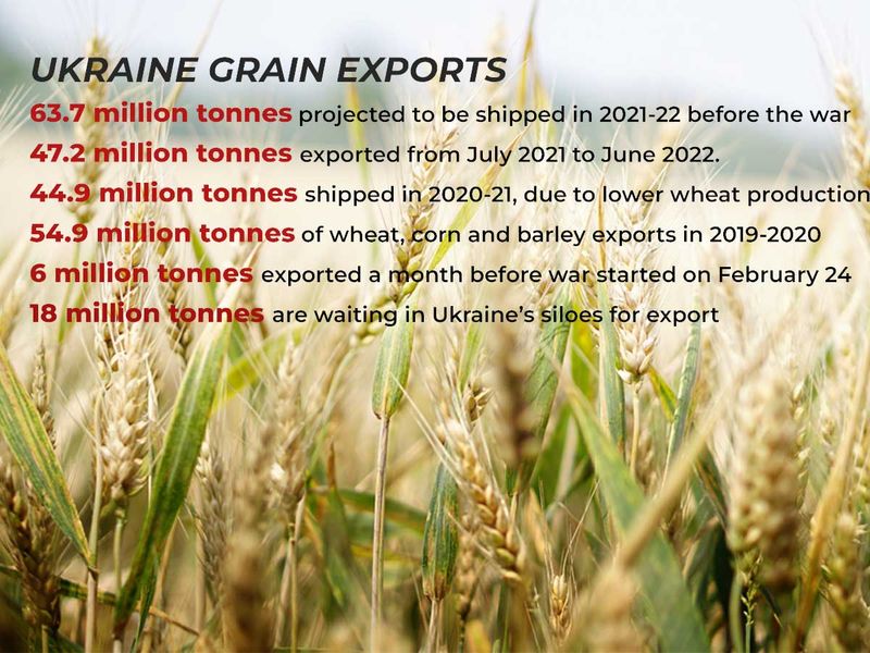 Ukraine grains
