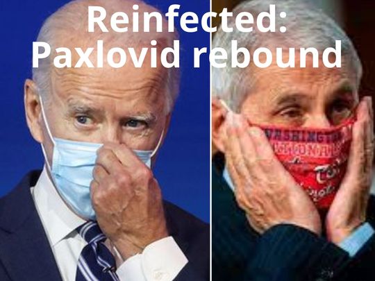Biden and Fauci Paxlovid rebound