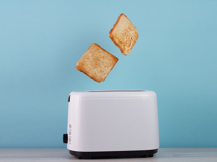 https://imagevars.gulfnews.com/2022/08/03/toaster_1826471fe5f_large.jpg