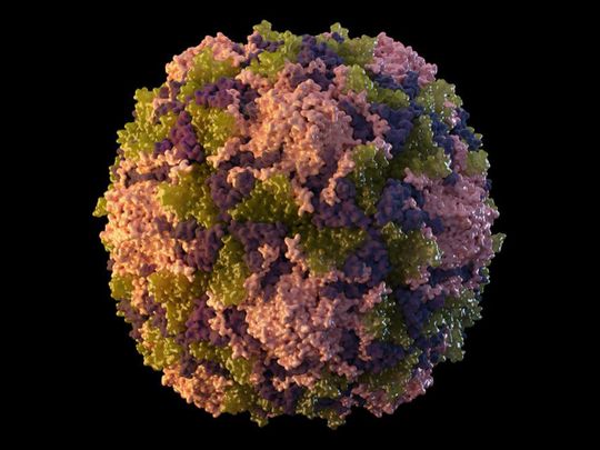 polio virus particle