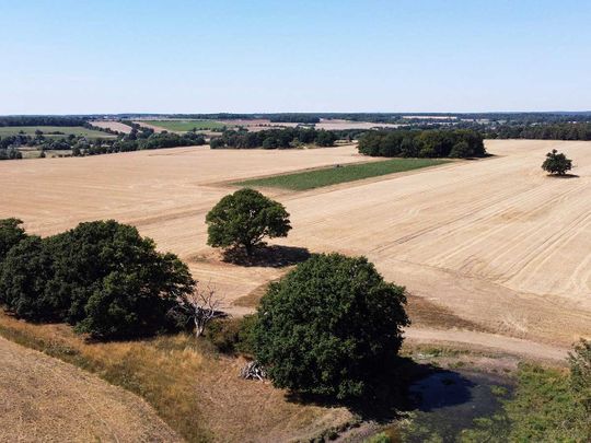 UK drought field