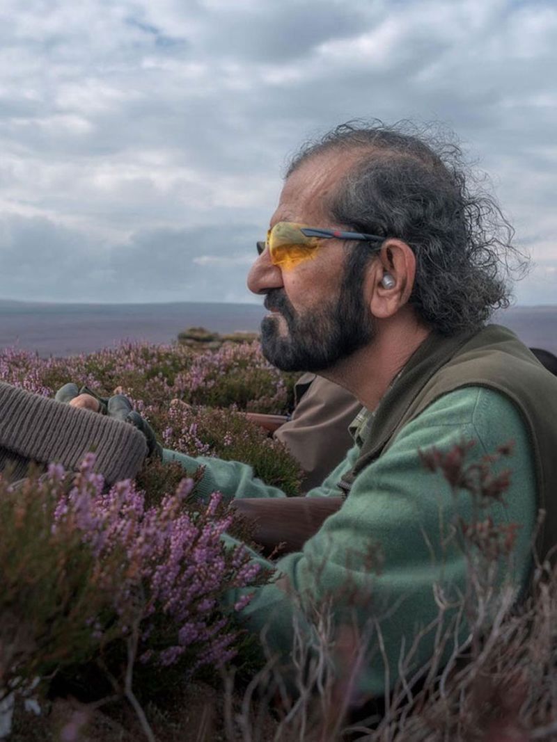 The British moorlands have been depicted in classics like Wuthering Heights and Hounds of the Baskervilles as bleak, windswept and foreboding. But, as the heather bursts into flowers at the end of the summer, the moors turn into a carpet of purple, as far as the eye can see.