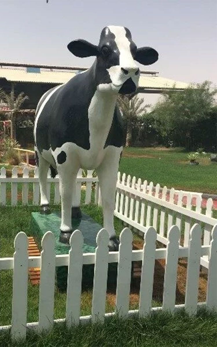 Al Rawabi Dairy Farm