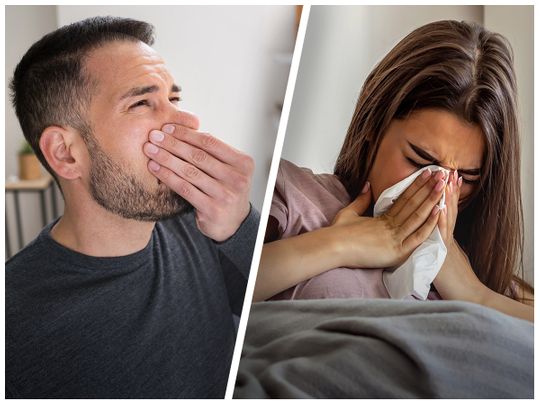 Why am I getting that bad smell in my nose? How to get rid of it? |  Special-reports – Gulf News