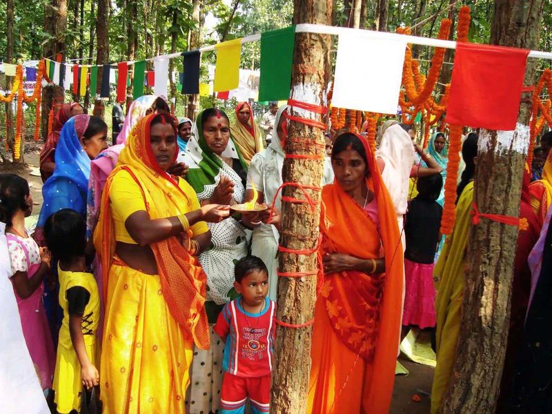 Tree forest rakhi