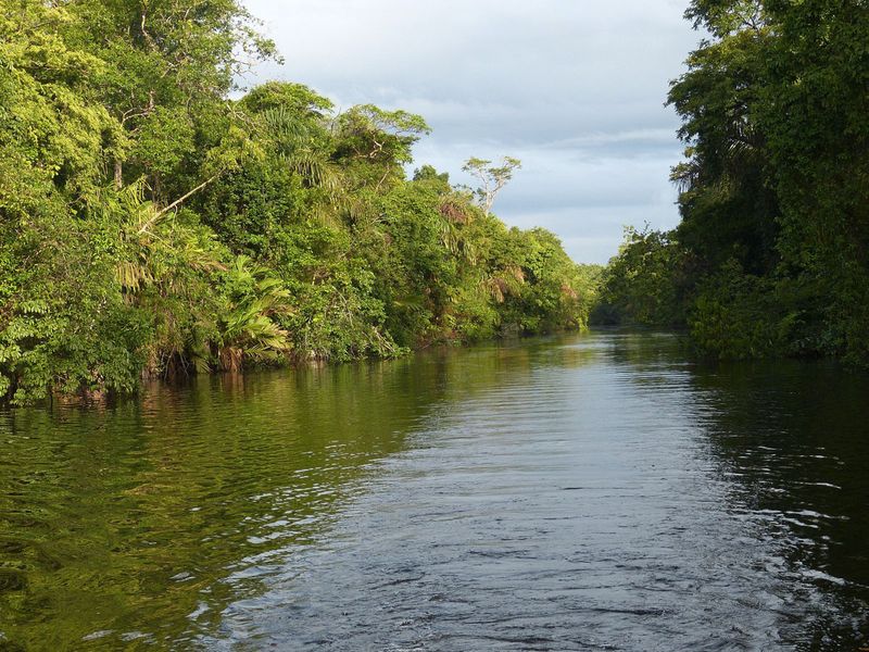 Costa Rica: Rainforest 