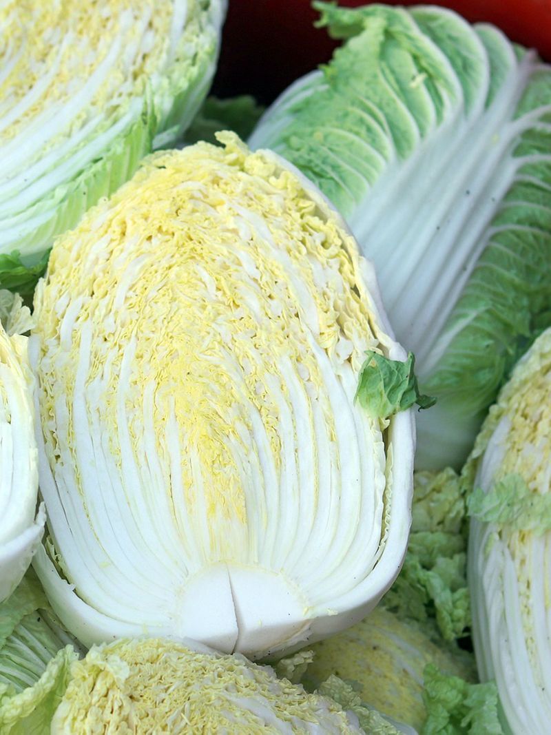 Korean cabbage