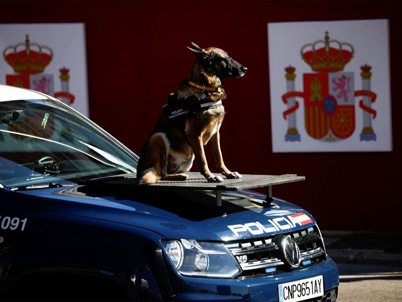20221016 police dog