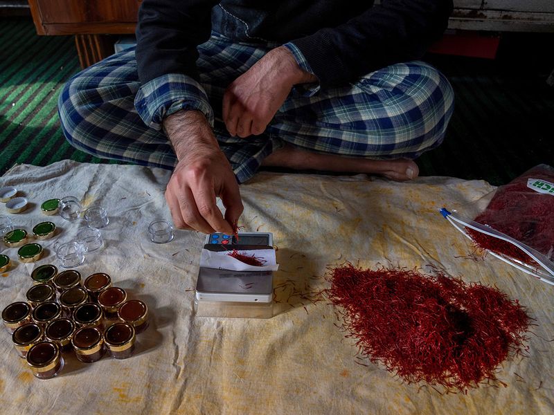 India Kashmir Saffron Photo Gallery