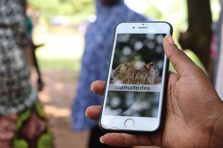 Showing the app during an Okuafo community visit last year in the Ashanti Region, Ghana.