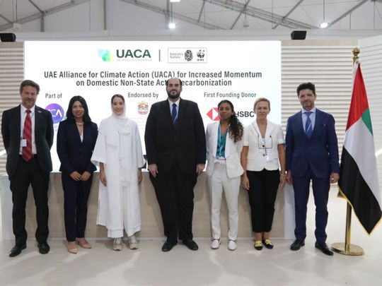 UAE-launches-climate-action-alliance-at-cop27-in-egypt-recently-1669450334633