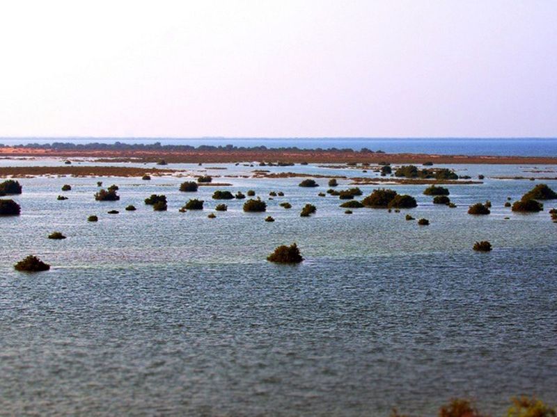 Sinniyah Island      