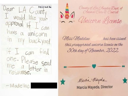 Viral: How this 6-year-old girl got a ‘unicorn licence’