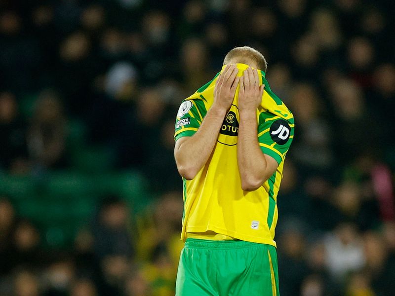 Norwich City are bottom of the table