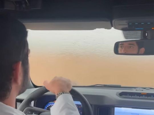 Sheikh Hamdan shares video enjoying rain