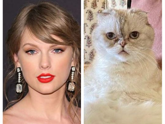 Taylor Swift and her beloved cat, now the third richest pet at $97million