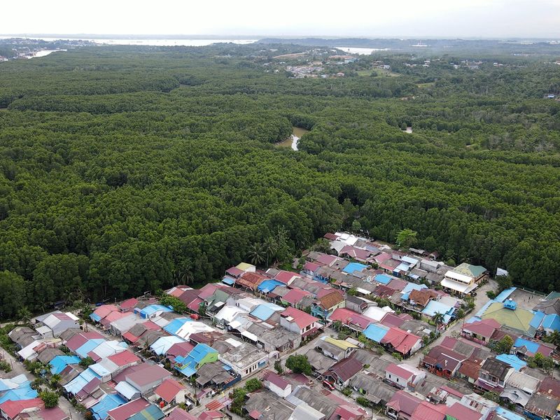 This screengrab taken from aerial video footage shows residential buildings surrounded by a mangrove forest in Balikpapan, eastern Borneo. 