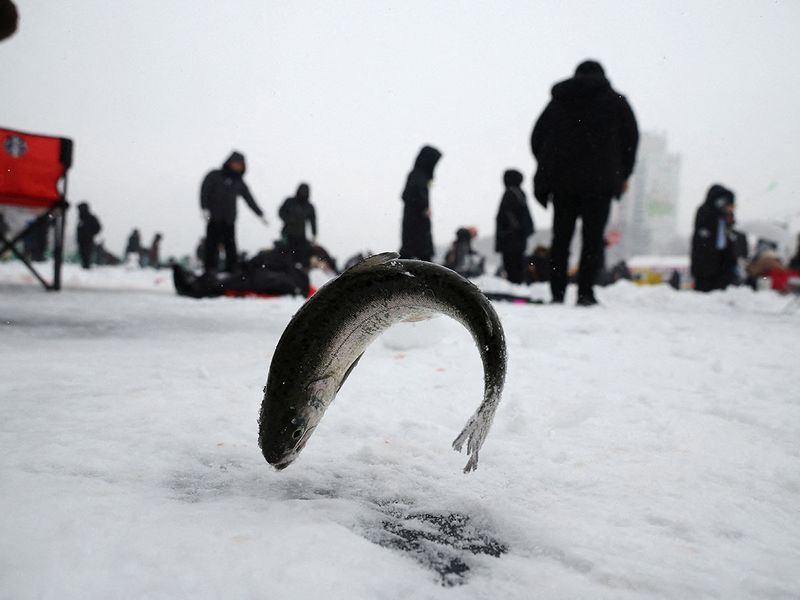 2023-01-07T065011Z_143086331_RC2FLY92QBWJ_RTRMADP_3_SOUTHKOREA-ICEFISHING-(Read-Only)