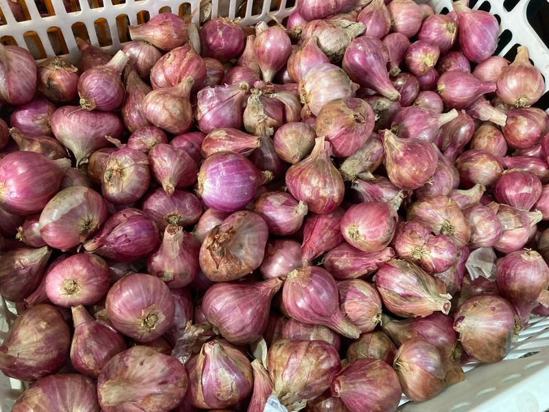 Onions Philippines public market