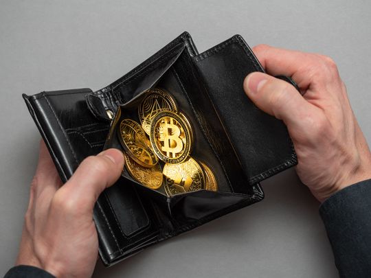 Crypto Bitcoin Wallet