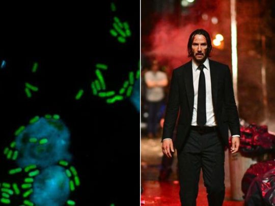 Here’s why a molecule was named after Keanu Reeves