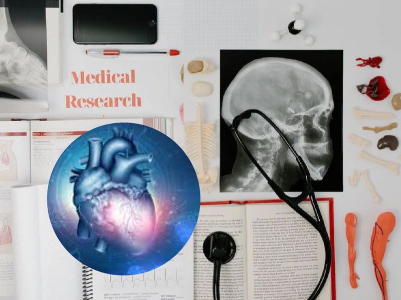 Artificial heart medial research