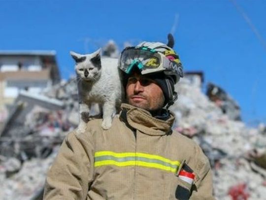 Turkish firefighter adopts cat he saved after 129 hours
