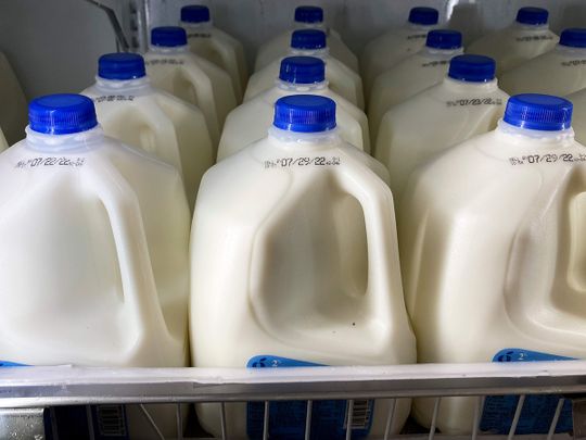  plant-based milk